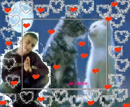 je t'aime ma cat a moi